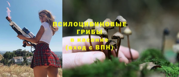 МДПВ Армянск