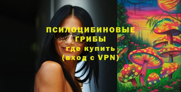 МДПВ Армянск