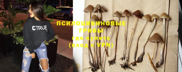 прущий лед Арсеньев