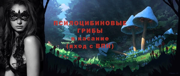 прущий лед Арсеньев
