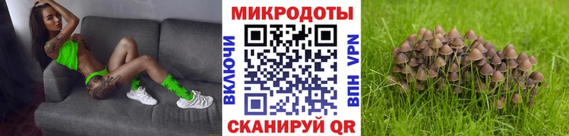 Галлюциногенные грибы мицелий  Новоаннинский 